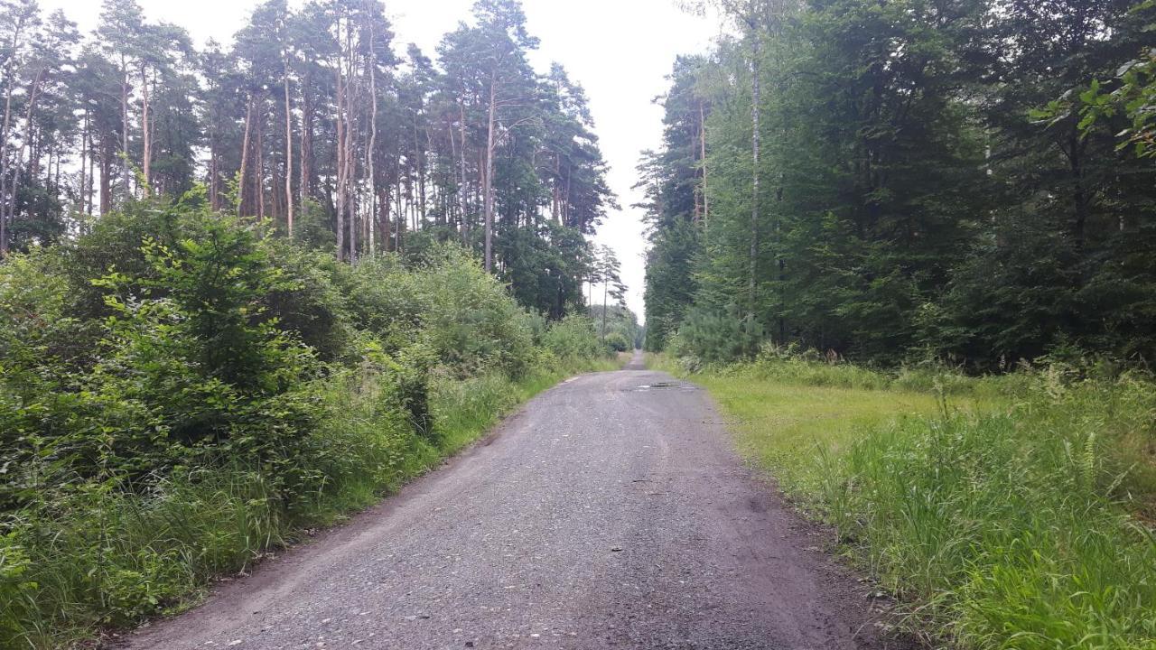 Winnica Debogora Dobiegniew Buitenkant foto