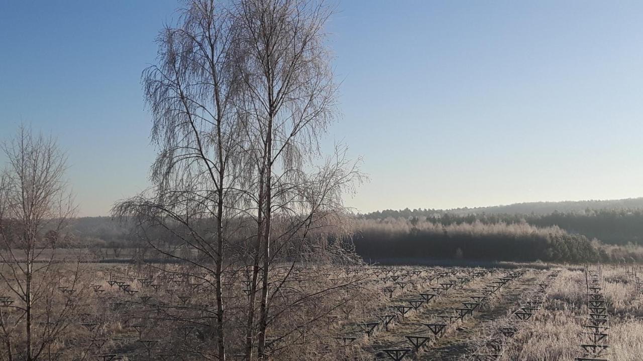 Winnica Debogora Dobiegniew Buitenkant foto